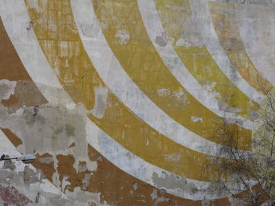 Łódzkie murale w obiektywie Bartka Stępnia