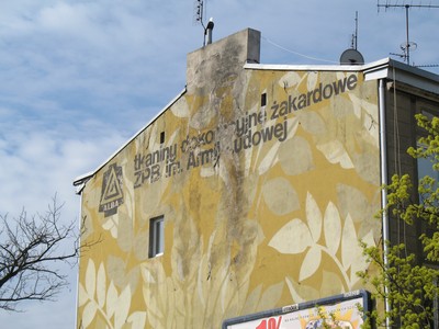 Łódzkie murale w obiektywie Bartka Stępnia